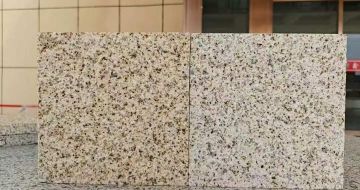 辽宁 黄金麻荔枝面，中黄与浅黄