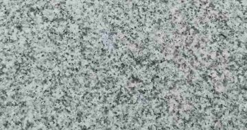 辽宁芝麻白火烧面