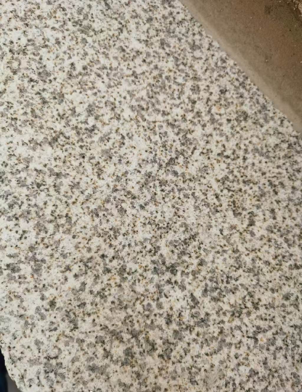 辽宁 黄金麻中黄光面