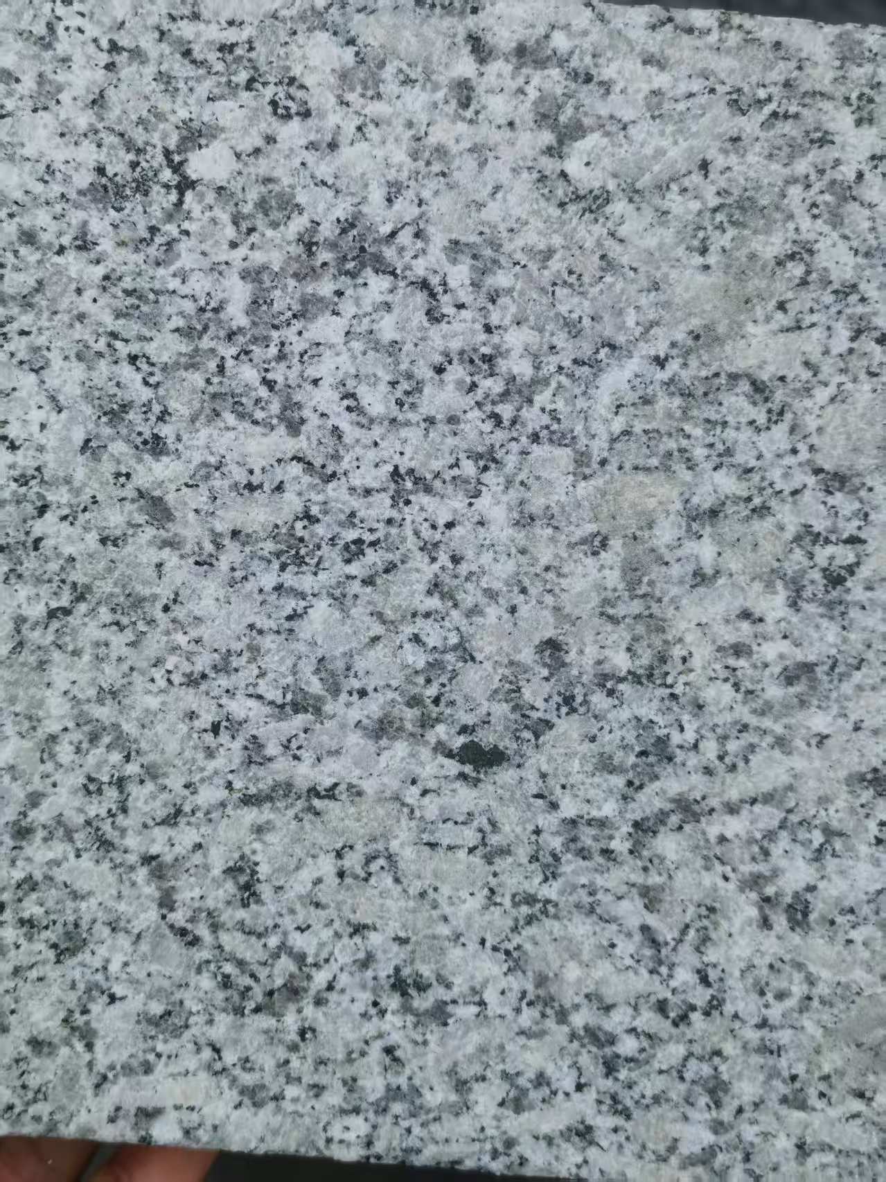 辽宁 芙蓉白火烧面