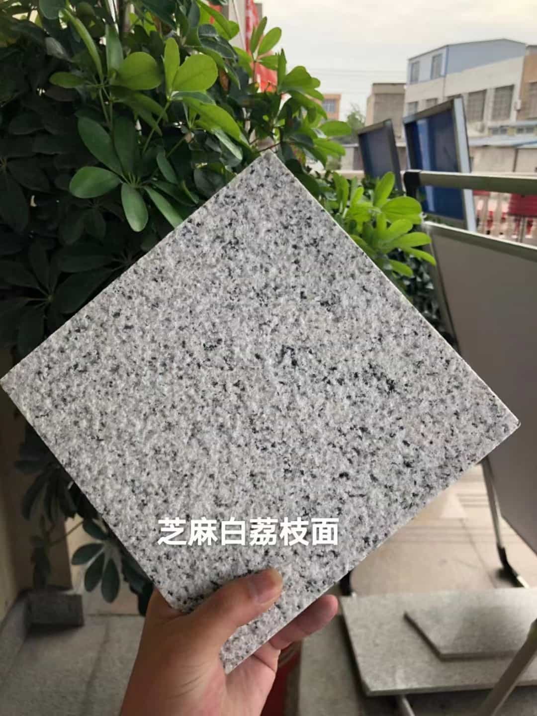 辽宁 芝麻白荔枝面干挂