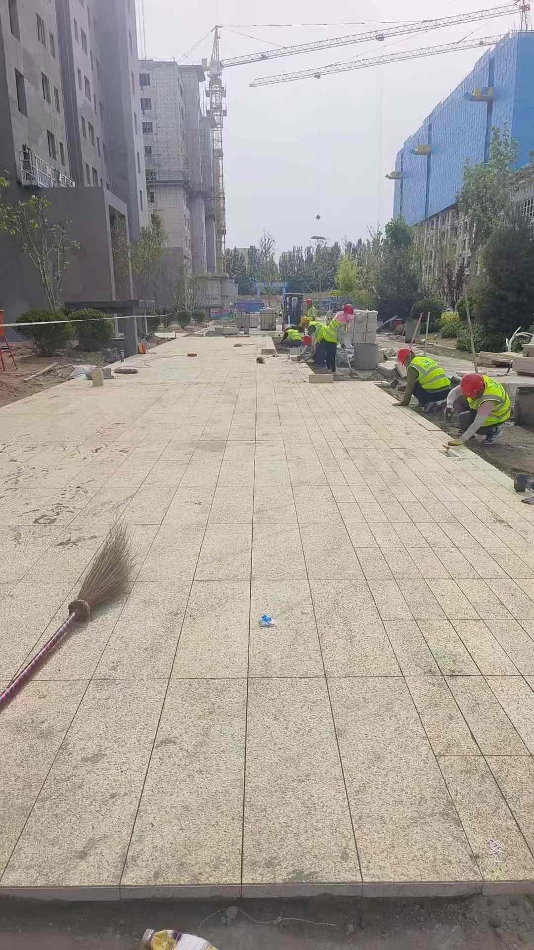 辽宁黄金麻荔枝面地铺案例